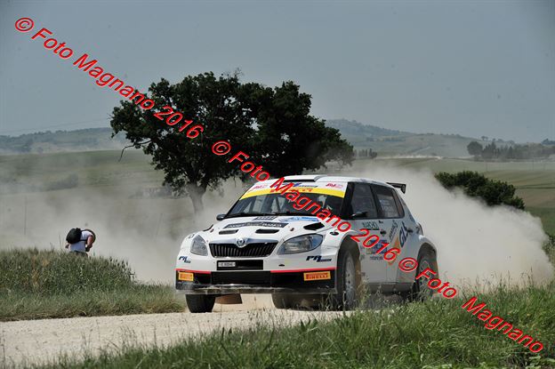 DSC_4798.JPG